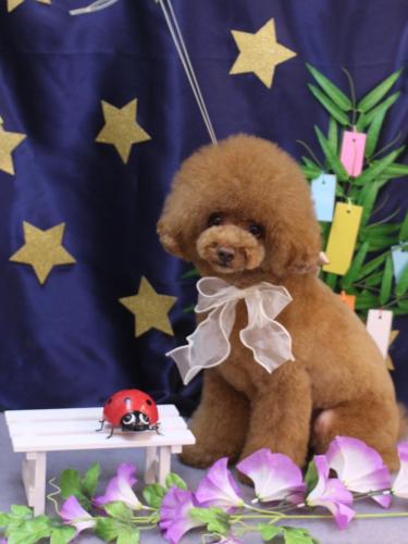 20230705こじろうくん